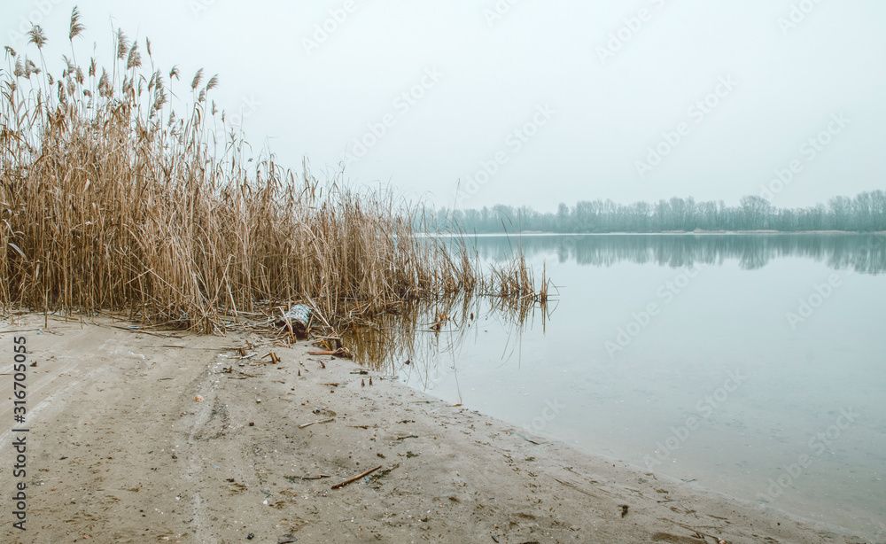 Early spring on the river bank. Melting ice and dry reed Early spring on the river bank. Melting ice and dry reed