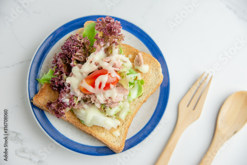 Sanwich salad on a plate with modern background.
