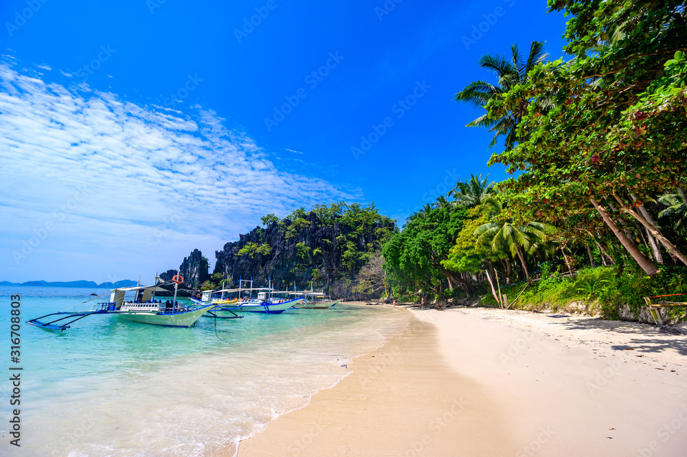 Naklejka premium Tropical Papaya beach at paradise coast, El Nido, Palawan, Philippines. Tour A Route. Coral reef and sharp limestone cliffs.