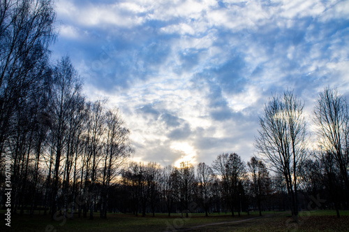 Fototapeta Naklejka Na Ścianę i Meble -  Bright contrasting blue sky with white clouds.
