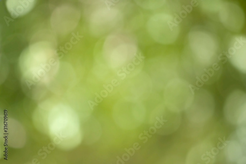 green  blurred abstract background with nature bokeh.concept of a peaceful summer and spring day in nature.