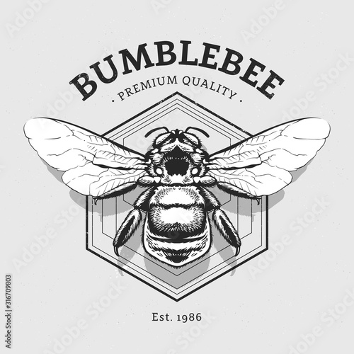 Vector Design with Bumblebee
