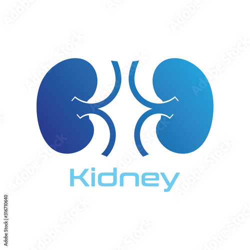 Kidney Care vector illustration design logo template symbol