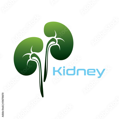 Kidney Care vector illustration design logo template symbol
