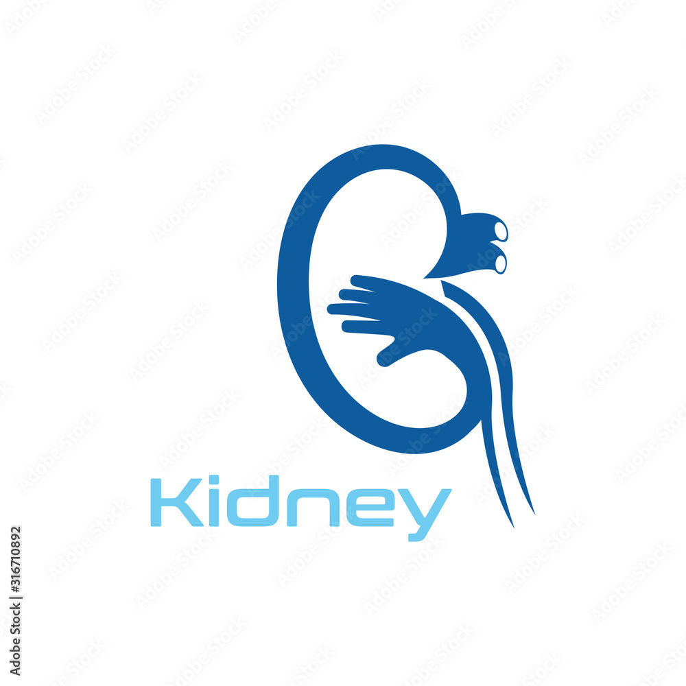 Naklejka premium Kidney Care vector illustration design logo template symbol