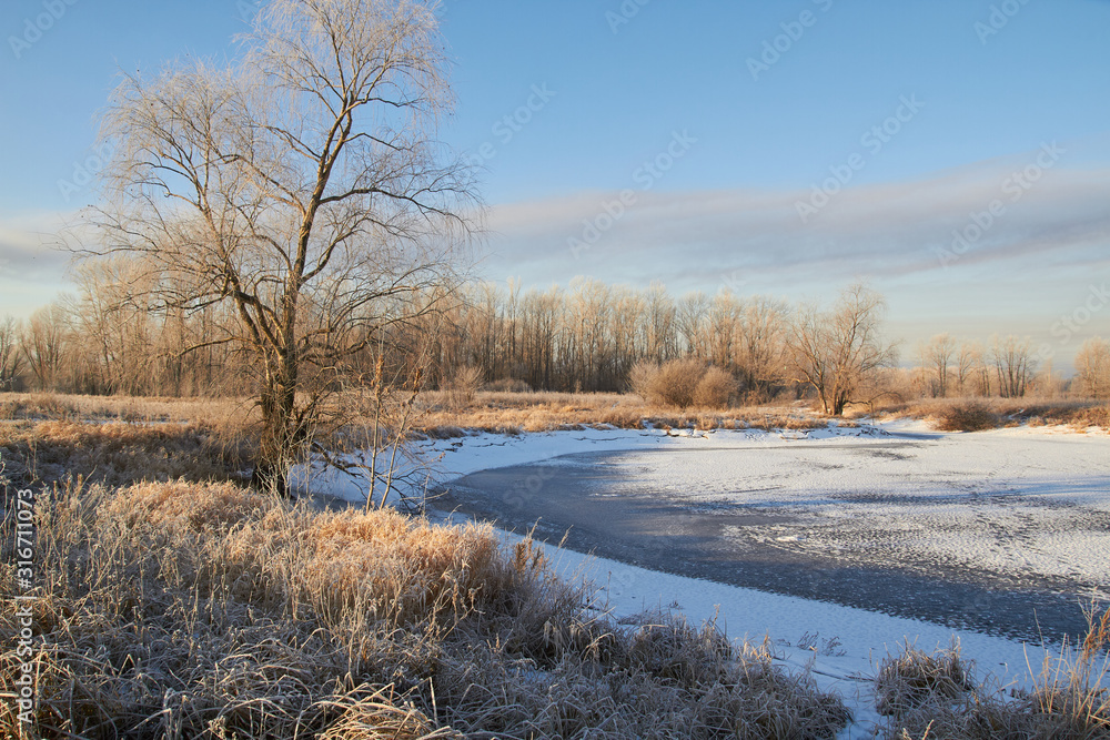 In winter, the trees are covered with fresh snow, In winter, the trees are covered with fresh snow,