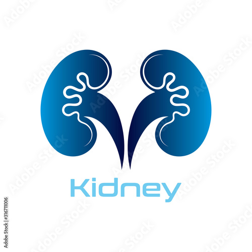 Fototapeta Naklejka Na Ścianę i Meble -  Kidney Care vector illustration design logo template symbol