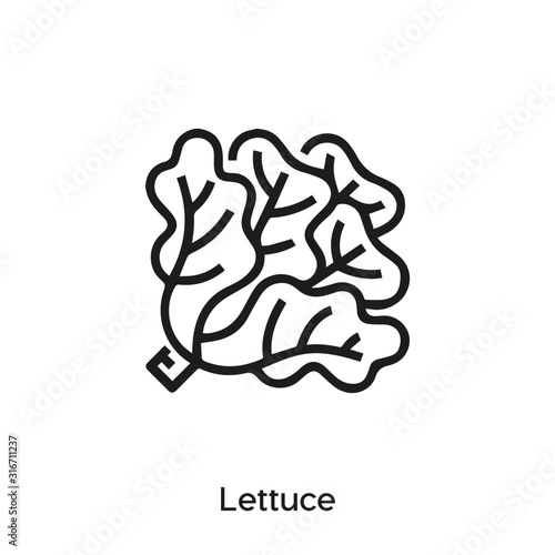 lettuce icon vector. lettuce icon vector symbol illustration. Modern simple vector icon for your design. lettuce icon vector	