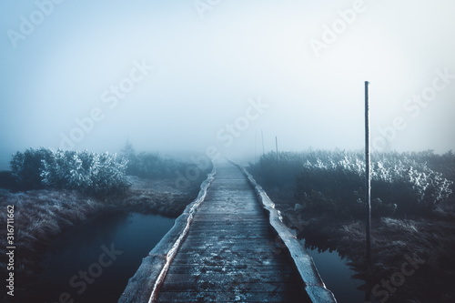 Bridge parth covered in fog in the winter mountain swamps, Krkonose, Czech Republic photo