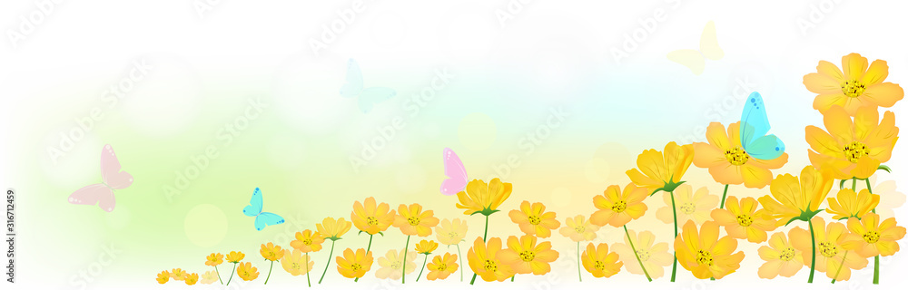 Butterfly in the morning light with fresh yellow cosmos or  sulfur cosmos flowers background, floral background concept, Nature header or web banner, vector illustration.