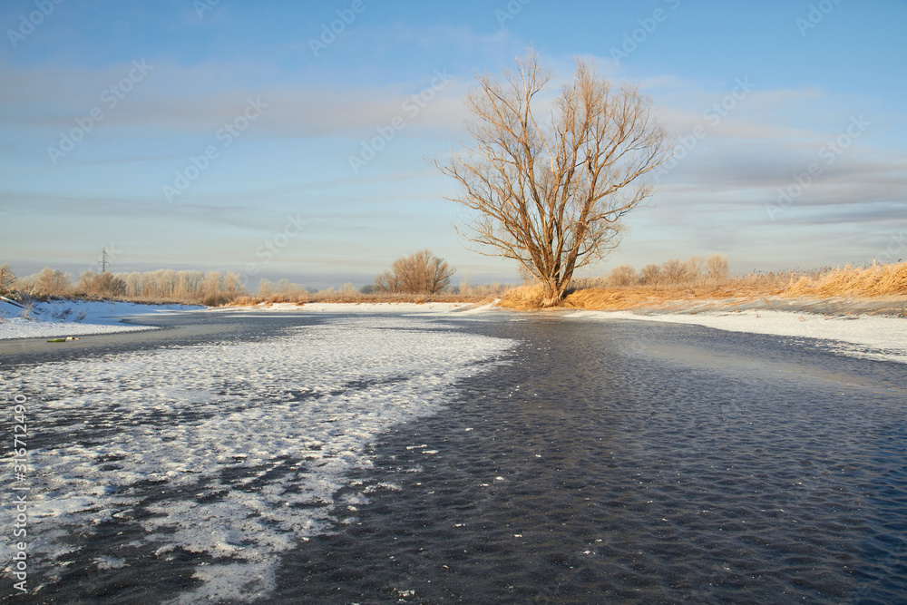 In winter, the trees are covered with fresh snow, In winter, the trees are covered with fresh snow,