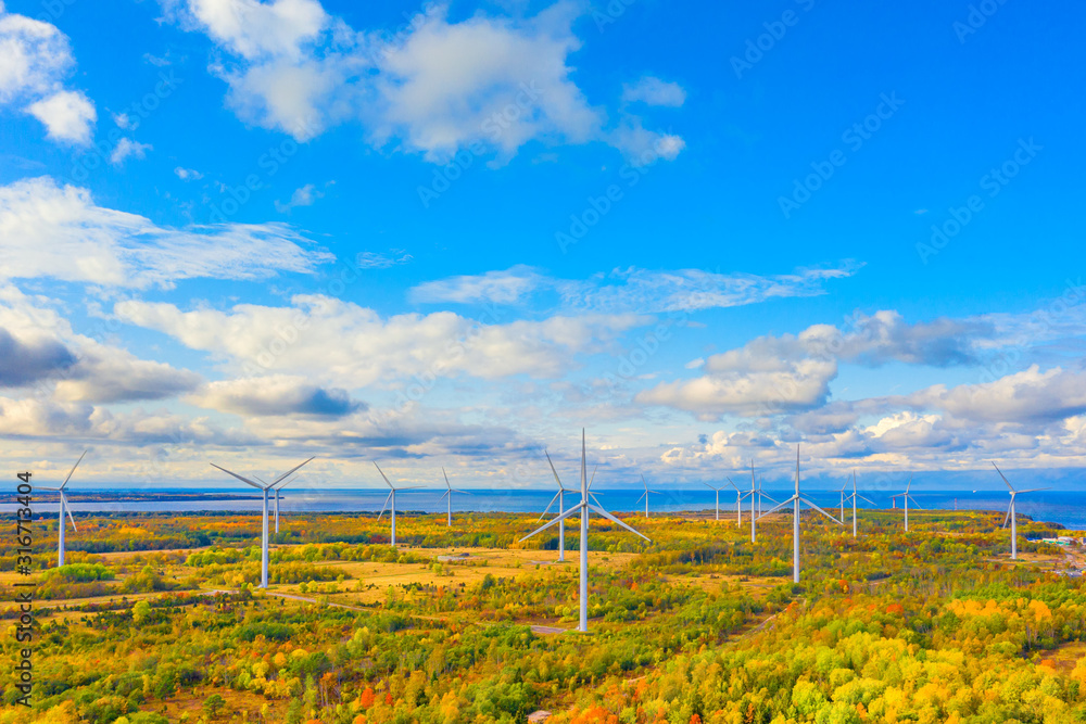 The Windmills park of Paldiski. Wind turbine farm near Baltic sea. Autumn landscape with windmills, orange forest and blue sky. Pakri peninsula, Estonia, Europe