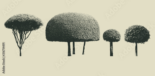 set of dwarfed trees silhouette. high contrast style : vector 