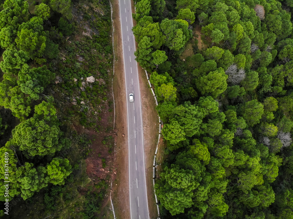 Aerial view of a vehicle on the road through a deep forest. Bird eye view of a Green Forest road. Drone shot. Aerial view of a vehicle on the road through a deep forest. Bird eye view of a Green Forest road. Drone shot.