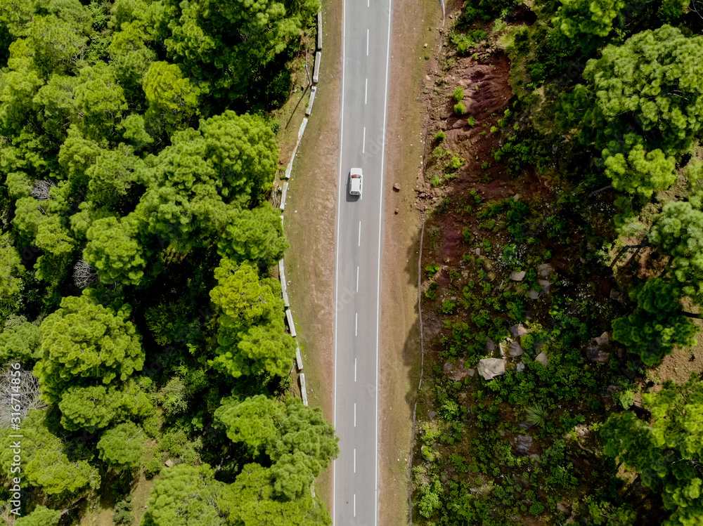 Aerial view of a vehicle on the road through a deep forest. Bird eye view of a Green Forest road. Drone shot.