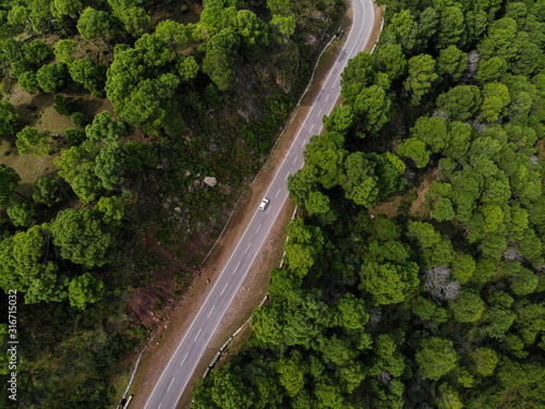 Aerial view of a vehicle on the road through a deep forest. Bird eye view of a Green Forest road. Drone shot. © theStorygrapher