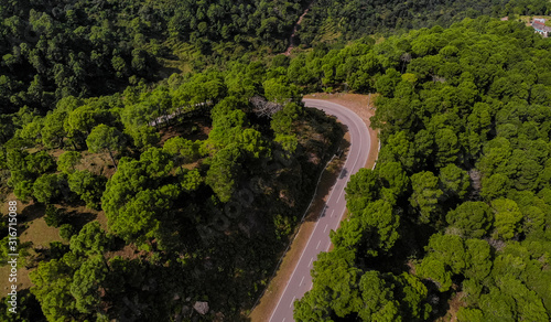 Aerial view of a vehicle on the road through a deep forest. Bird eye view of a Green Forest road. Drone shot.