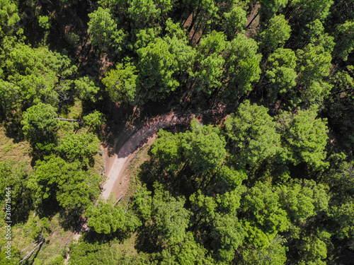 Aerial view of a vehicle on the road through a deep forest. Bird eye view of a Green Forest road. Drone shot.