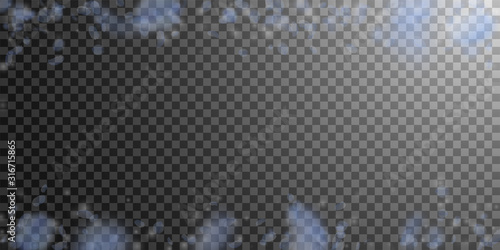 Light blue flower petals falling down. Favorable r