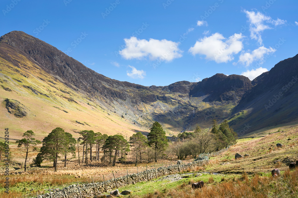 Naklejka premium The valley of Gatesgarth and Warnscale Bottom with mountain summits of Fleetwith Pike and Hay Stacks high above on a sunny blue sky spring day in the Lake District.