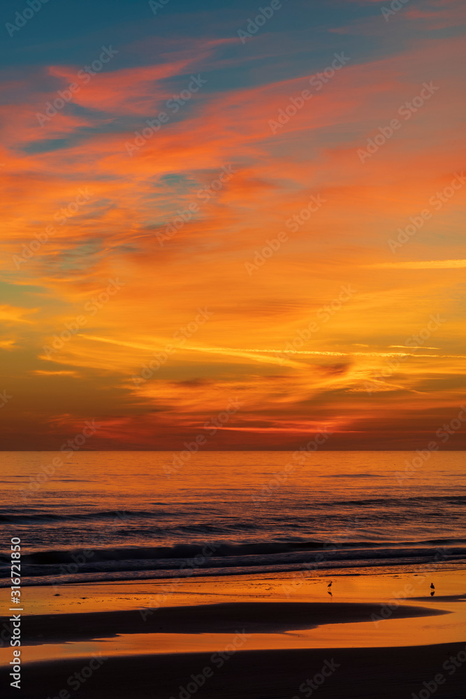 Vertical image of a sunrise before the sun rises above the horizon along the Atlantic Coast of Port Orange, Florida illuminating  the clouds above and the sea below.  