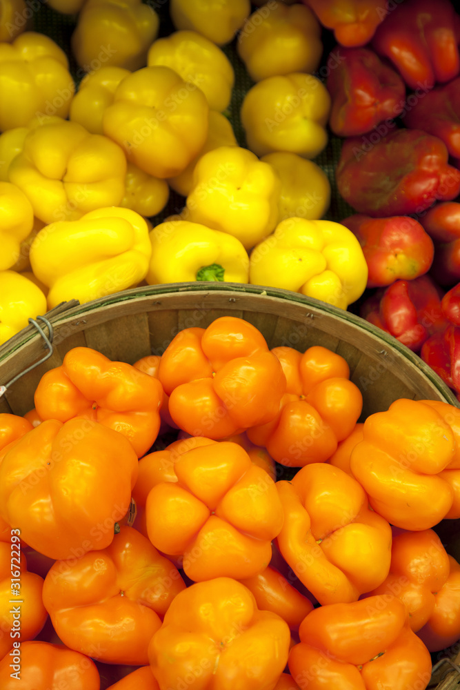Multicolored capsicum on display in market