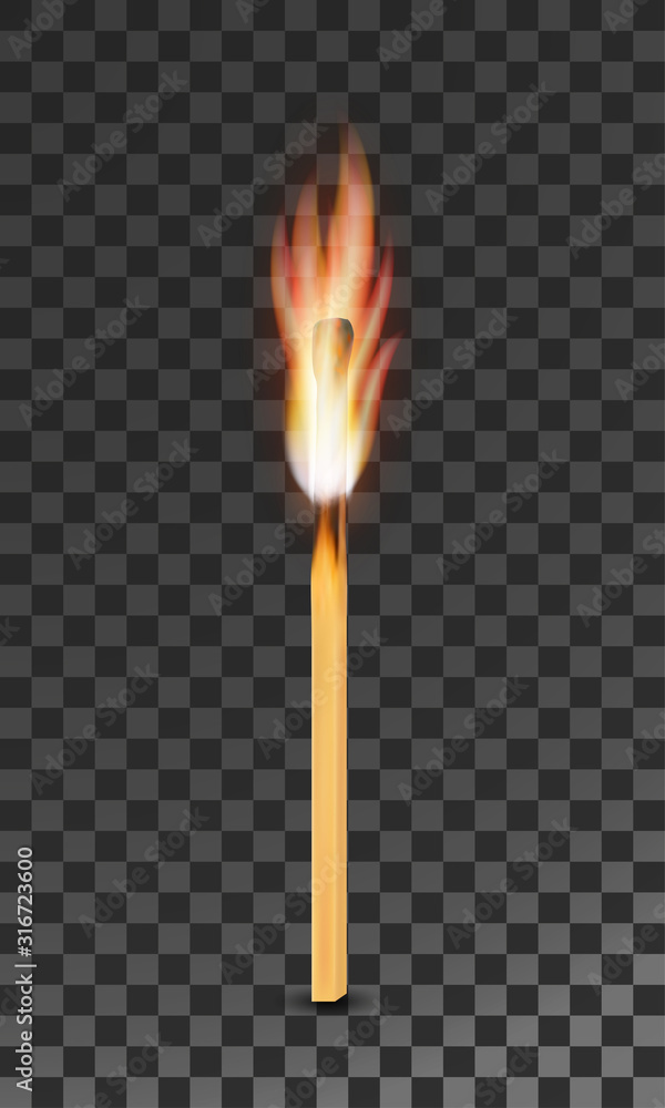 burning charred wooden match with flame vector illustration