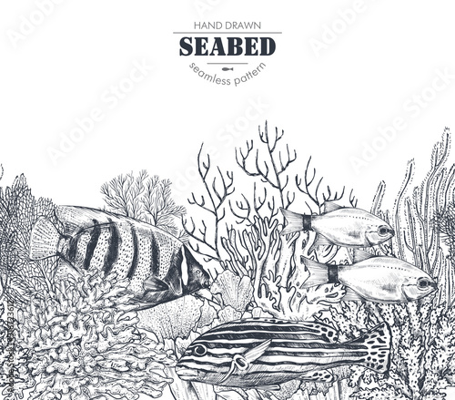 Vector monochrome seamless coral reef pattern with tropical fish