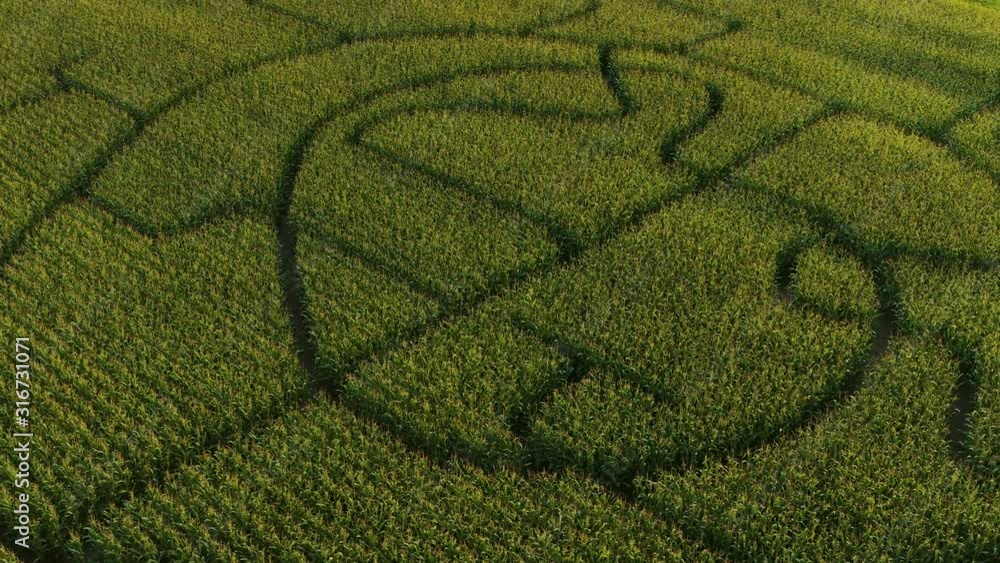 Detailed aerial orbit of a corn maze in the Netherlands Detailed aerial orbit of a corn maze in the Netherlands