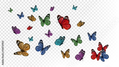 Naklejka Latające motyle. Kolorowy motyl na przezroczystym tle. Ilustracja wektorowa owady wiosną i latem. Motyl lato i wiosna owad, latające zwierzę