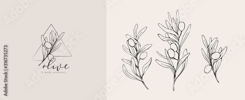 Olive logo and branch. Hand drawn wedding herb, plant and monogram with elegant leaves for invitation save the date card design. Botanical rustic trendy greenery