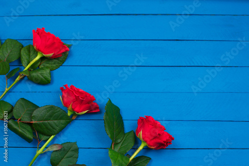 Red roses on blue wooden table. Valentines day background.