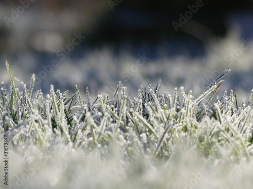 Rasen, Winter, gefroren, Eis, Kälte © HansHinrich
