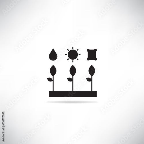 plant with water, light and fertilizer for smart agriculture concept icon