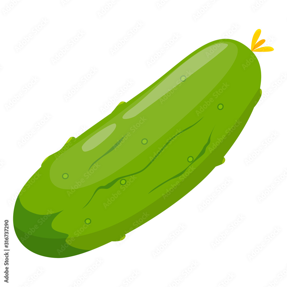 Fresh green cucumber for salad. Tasty healthy vegetable. Fresh green cucumber for salad. Tasty healthy vegetable.