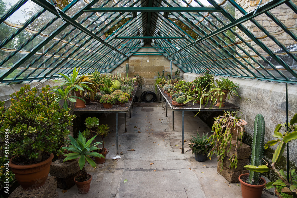 old botanical grow house with cactus