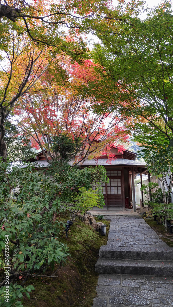 Zen garden at Kodai temple in Kyoto