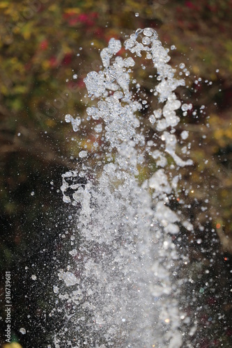 rain drops on the window