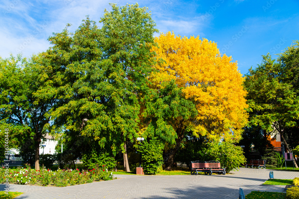 City park in autumn season.