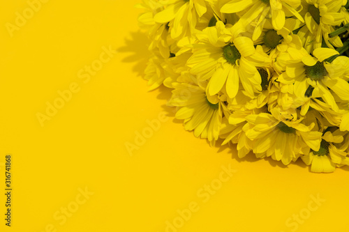 Fototapeta Naklejka Na Ścianę i Meble -  Yellow chrysanthemum bouquet on yellow background. Copy space