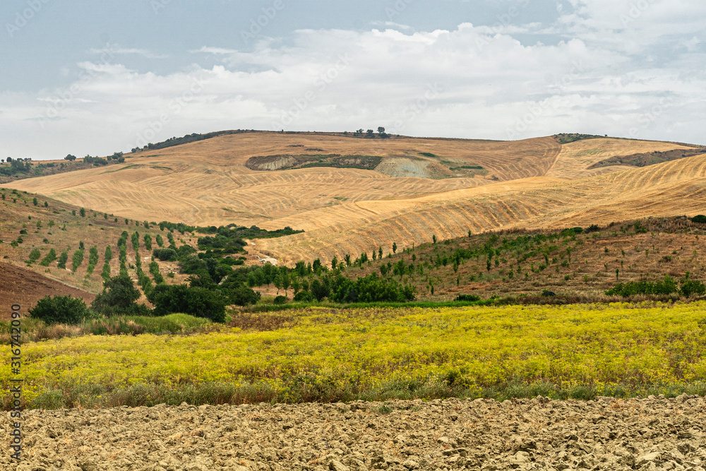 Naklejka premium Rural landscape in Basilicata at summer