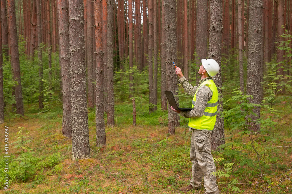 © Sergei - A forest engineer works in the forest with a computer. A man in a white helmet holds in his hands a computer. Forest industry and digital technology. © Sergei - A forest engineer works in the forest with a computer. A man in a white helmet holds in his hands a computer. Forest industry and digital technology.