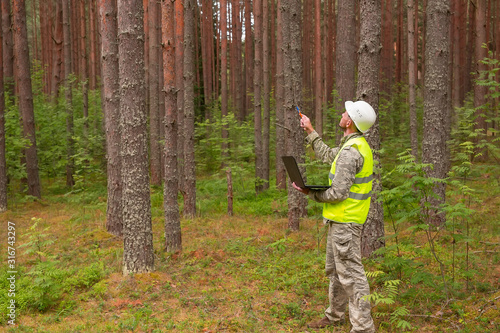 Tableau sur toile A forest engineer works in the forest with a computer