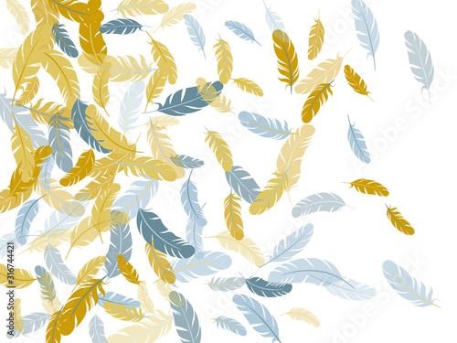 Fluffy twirled feathers on white design.