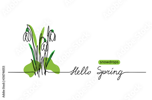 Snowdrops vector sketch and lettering Hello Spring. First flowers one continuous line drawing. Hello Spring  handwritten greeting. 