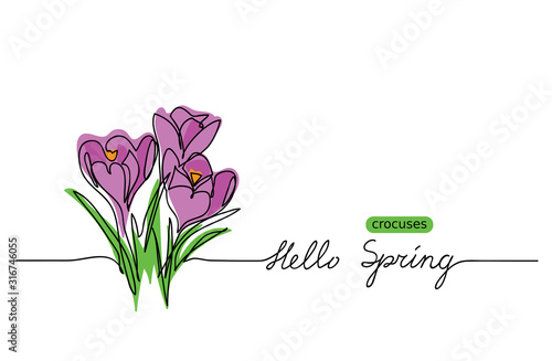 Crocuses blossom vector sketch, doodle.  Hello Spring lettering. Crocuses web banner, illustration, border, card, background.