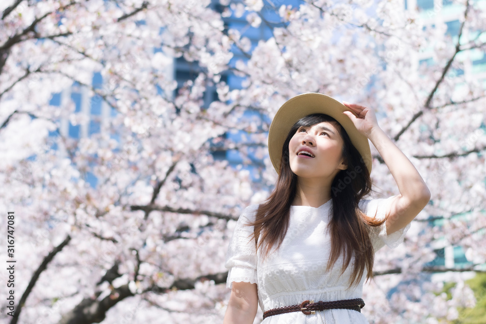 Young beautiful Asian woman is enjoy sightseeing Cheery Blossom full bloom in Japan.