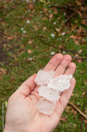 Hands holding large hailstones after severe hailstorm in Sydney, Australia