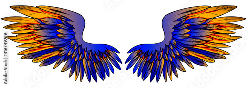 Beautiful magic glwing gradient blue golden wings, hand drawn vector