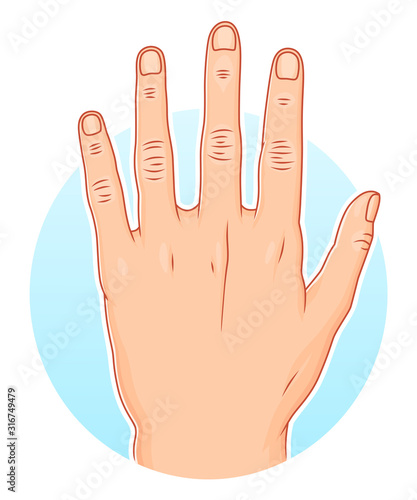 Hand illustration
